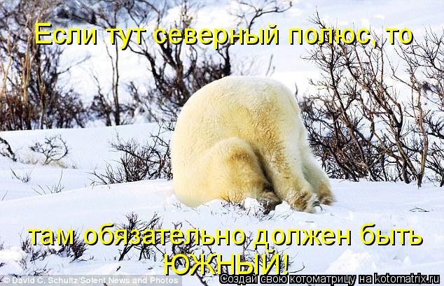 Если тут северный полюс, то там обязательно должен быть ЮЖНЫЙ!... Котоматрица: Если тут северный полюс, то там обязательно должен быть ЮЖНЫЙ!