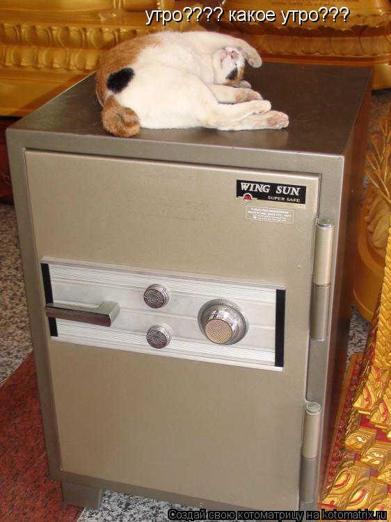 утро???? какое утро???... Котоматрица: утро???? какое утро???