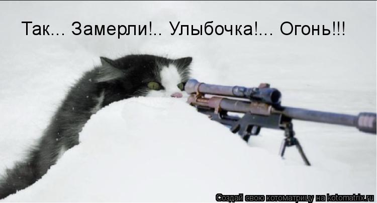 Так... Замерли!.. Улыбочка!... Огонь!!!... Котоматрица: Так... Замерли!.. Улыбочка!... Огонь!!!