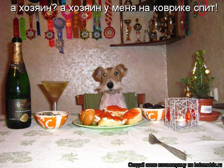 а хозяин? а хозяин у меня на коврике спит!... Котоматрица: а хозяин? а хозяин у меня на коврике спит!