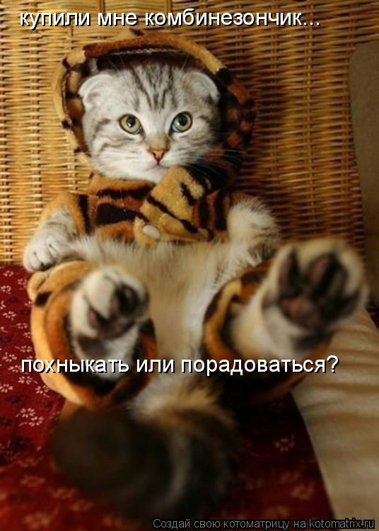 купили мне комбинезончик... похныкать или порадоваться?... Котоматрица: купили мне комбинезончик... похныкать или порадоваться?
