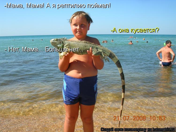 -Мама, Мама! А я рептилию поймал! -А она кусается? - Нет, Мама... Больше нет...... Котоматрица: -Мама, Мама! А я рептилию поймал! -А она кусается? - Нет, Мама... Больше нет...