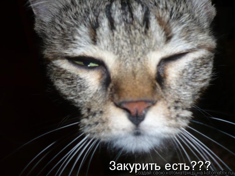 Закурить есть???... Котоматрица: Закурить есть???