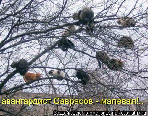 авангардист Саврасов - малевал!..... Котоматрица: авангардист Саврасов - малевал!..