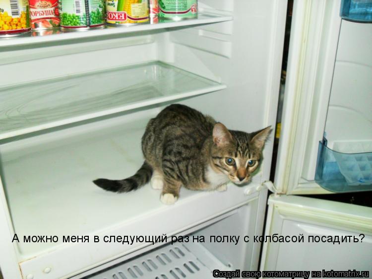 А можно меня в следующий раз на полку с колбасой посадить?... Котоматрица: А можно меня в следующий раз на полку с колбасой посадить?