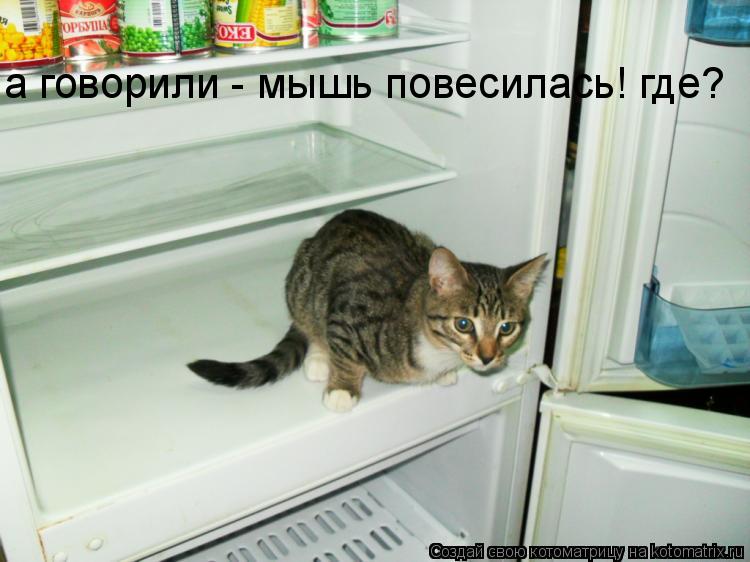 а говорили - мышь повесилась! где?... Котоматрица: а говорили - мышь повесилась! где?