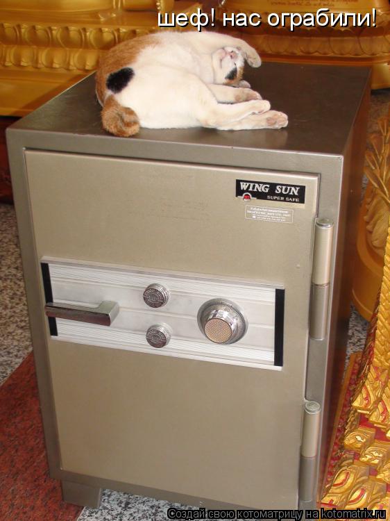 шеф! нас ограбили!... Котоматрица: шеф! нас ограбили!