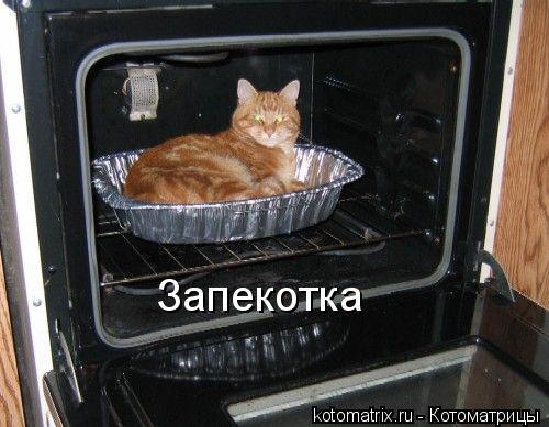 Запекотка... Котоматрица: Запекотка