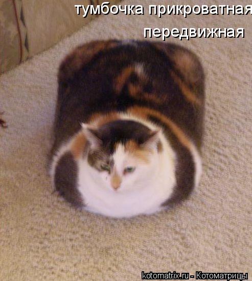 тумбочка прикроватная передвижная передвижная... Котоматрица: тумбочка прикроватная передвижная передвижная