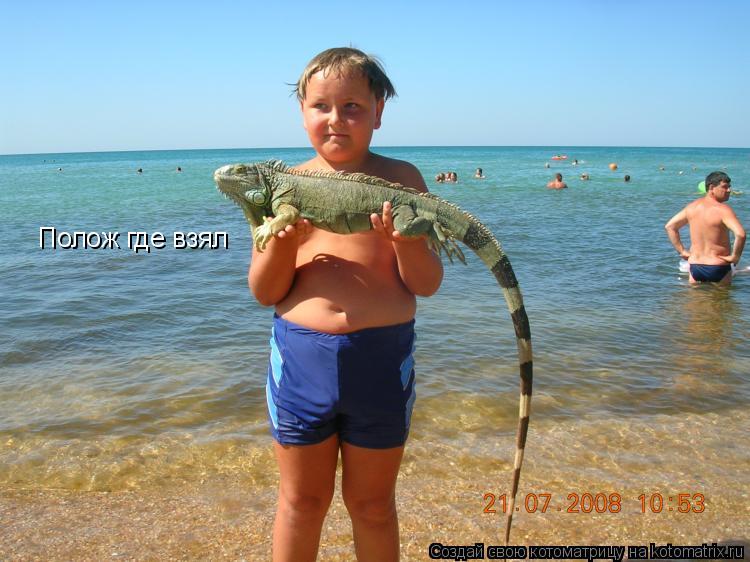 Полож где взял... Котоматрица: Полож где взял