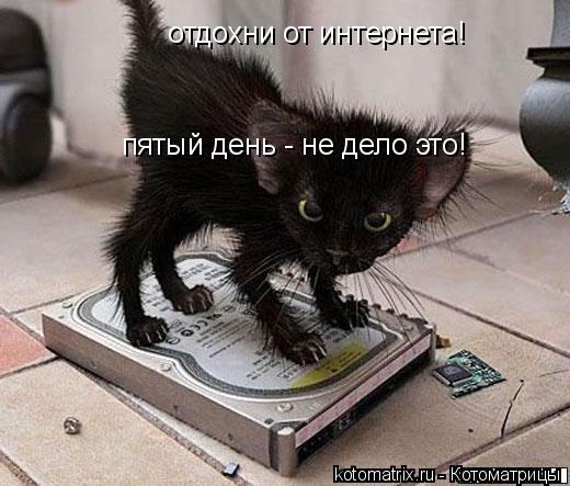 отдохни от интернета! пятый день - не дело это!... Котоматрица: отдохни от интернета! пятый день - не дело это!