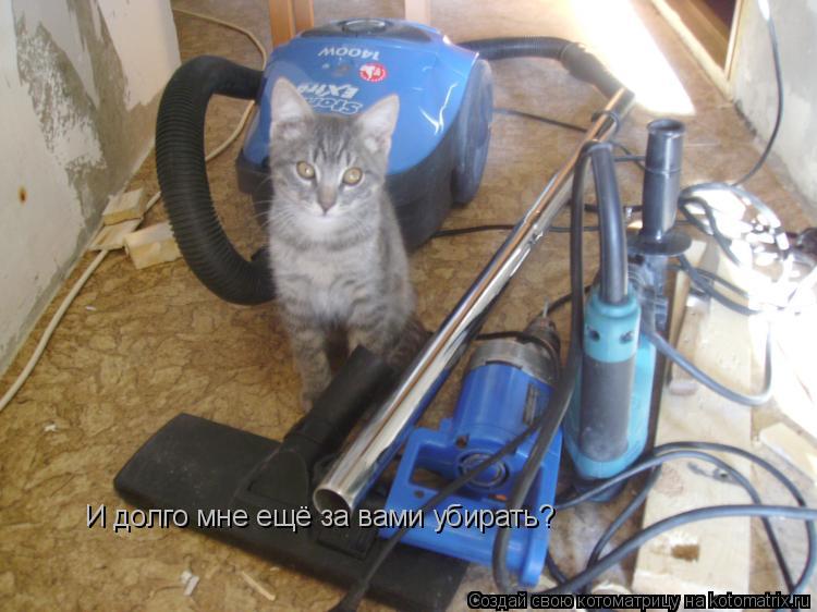 И долго мне ещё за вами убирать?... Котоматрица: И долго мне ещё за вами убирать?