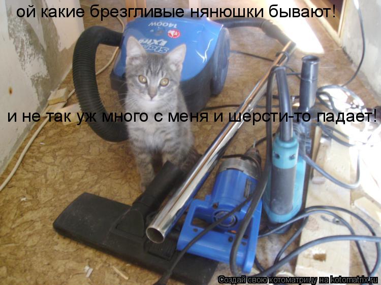 и не так уж много с меня и шерсти-то падает! ой какие брезгливые нянюшки бывают!... Котоматрица: и не так уж много с меня и шерсти-то падает! ой какие брезгливые нянюшки бывают!