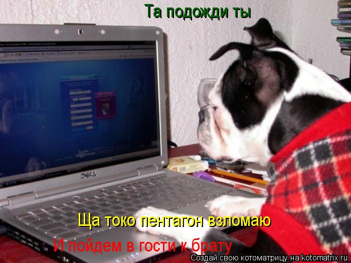 Та подожди ты Ща токо пентагон взломаю И пойдем в гости к брату... Котоматрица: Та подожди ты Ща токо пентагон взломаю И пойдем в гости к брату