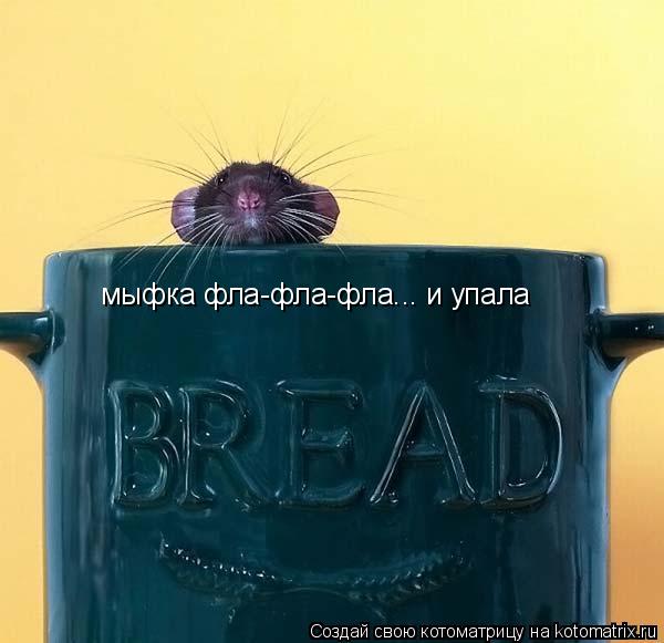 мыфка фла-фла-фла... и упала... Котоматрица: мыфка фла-фла-фла... и упала