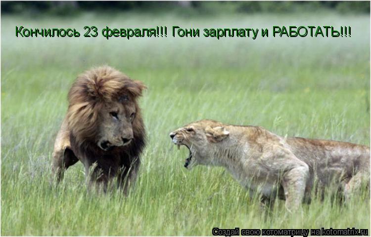 Кончилось 23 февраля!!! Гони зарплату и РАБОТАТЬ!!!... Котоматрица: Кончилось 23 февраля!!! Гони зарплату и РАБОТАТЬ!!!