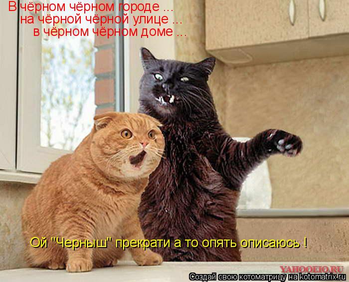 В чёрном чёрном городе ... на чёрной чёрной улице ... в чёрном чёрном доме ... Ой "Черныш" прекрати а... Котоматрица: В чёрном чёрном городе ... на чёрной чёрной улице ... в чёрном чёрном доме ... Ой "Черныш" прекрати а то опять описаюсь !