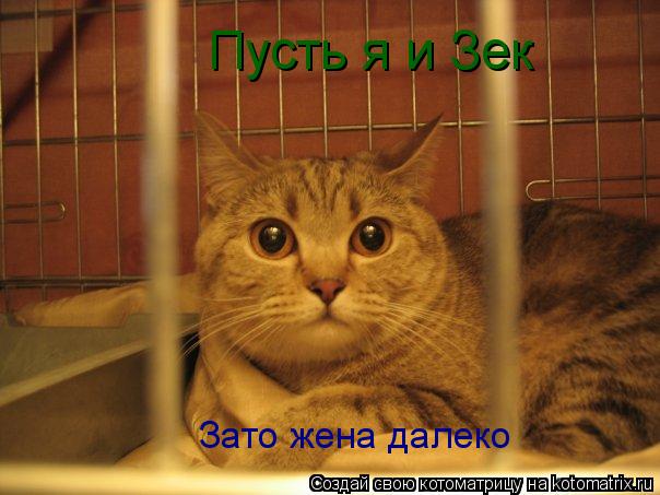 Пусть я и Зек Зато жена далеко... Котоматрица: Пусть я и Зек Зато жена далеко
