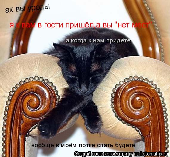 ах вы уроды я к вам в гости пришёл,а вы "нет мест" а когда к нам придёте вообще в моём лотке спать бу... Котоматрица: ах вы уроды я к вам в гости пришёл,а вы "нет мест" а когда к нам придёте вообще в моём лотке спать будете