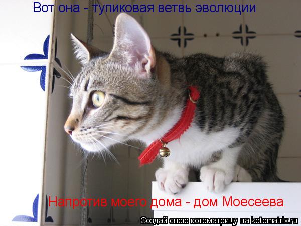 Вот она - тупиковая ветвь эволюции Напротив моего дома - дом Моесеева... Котоматрица: Вот она - тупиковая ветвь эволюции Напротив моего дома - дом Моесеева