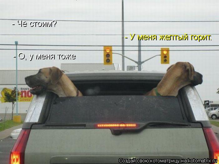 Котоматрица: - Чё стоим? - У меня желтый горит. - О, у меня тоже