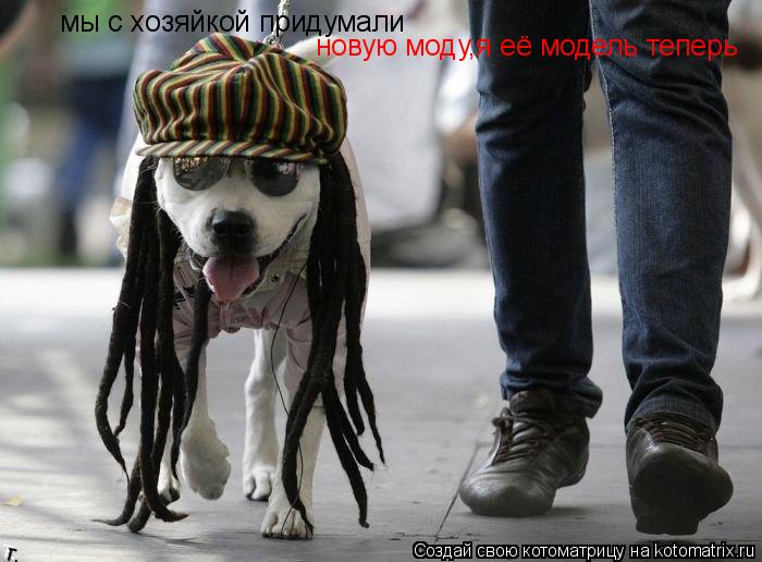 мы с хозяйкой придумали новую моду,я её модель теперь... Котоматрица: мы с хозяйкой придумали новую моду,я её модель теперь
