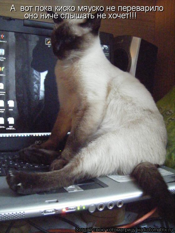 А вот пока киско мяуско не переварило оно ничё слышать не хочет!!!... Котоматрица: А вот пока киско мяуско не переварило оно ничё слышать не хочет!!!