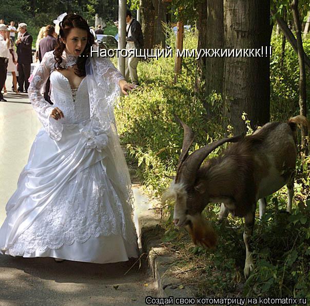 ...Настоящщий ммужжиииккк!!!... Котоматрица: ...Настоящщий ммужжиииккк!!!