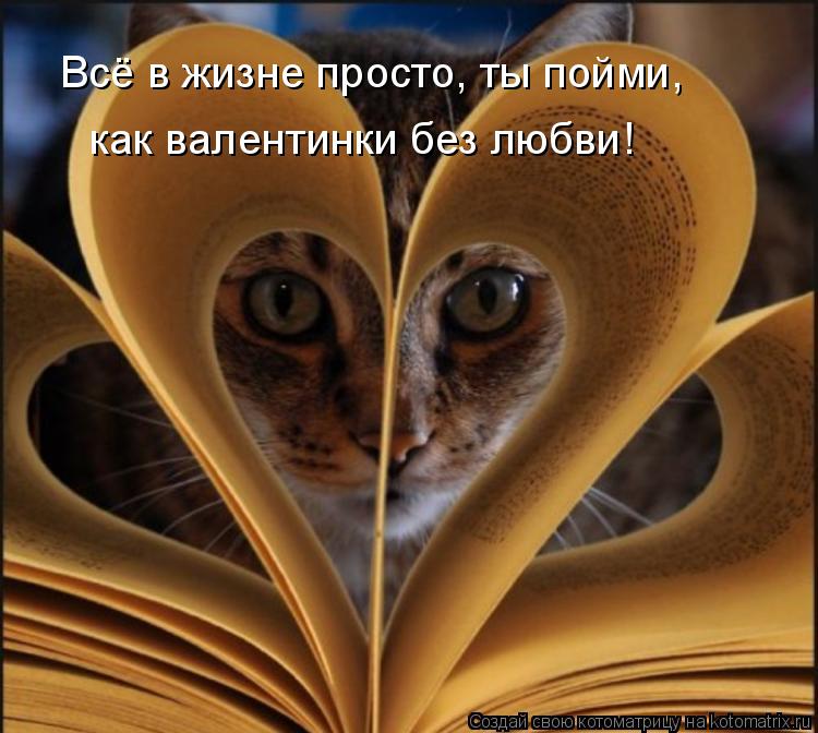 Всё в жизне просто, ты пойми, как валентинки без любви!... Котоматрица: Всё в жизне просто, ты пойми, как валентинки без любви!