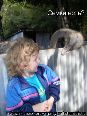 Семки есть?... Котоматрица: Семки есть?