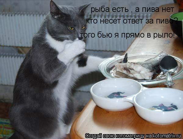 рыба есть , а пива нет кто несет ответ за пиво? того бью я прямо в рыло!... Котоматрица: рыба есть , а пива нет кто несет ответ за пиво? того бью я прямо в рыло!
