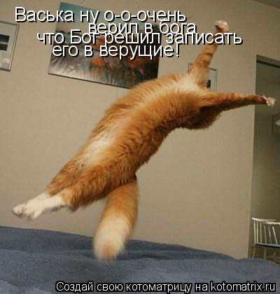 Васька ну о-о-очень верил в бога что Бог решил записать его в верущие !... Котоматрица: Васька ну о-о-очень верил в бога что Бог решил записать его в верущие !