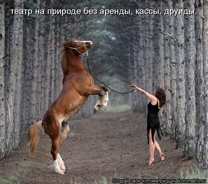 театр на природе без аренды, кассы. друиды.... Котоматрица: театр на природе без аренды, кассы. друиды.