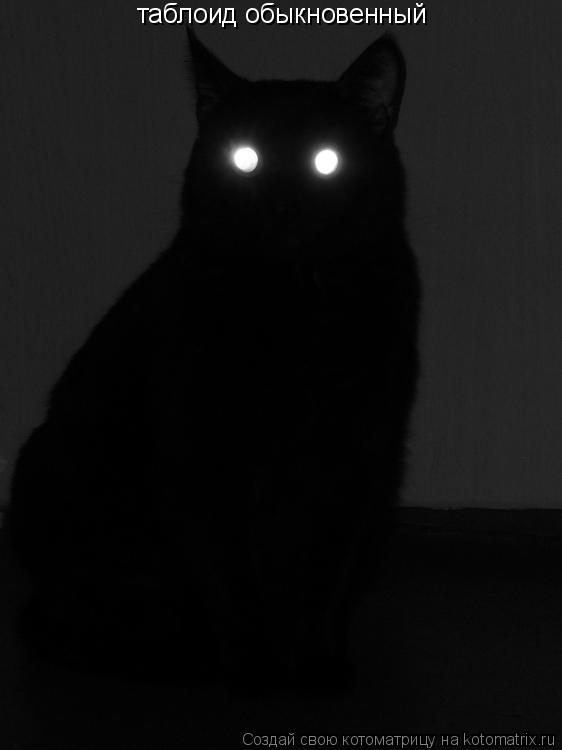 таблоид обыкновенный... Котоматрица: таблоид обыкновенный