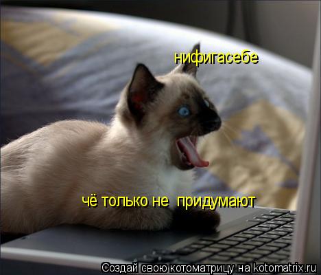 нифигасебе чё только не придумают... Котоматрица: нифигасебе чё только не придумают