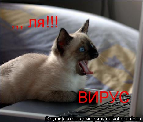 ,,, ля!!! ВИРУС... Котоматрица: ,,, ля!!! ВИРУС