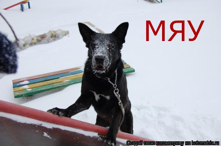 МЯУ... Котоматрица: МЯУ