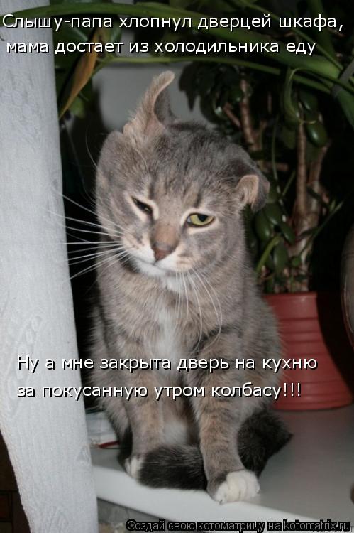 Котоматрица: Слышу-папа хлопнул дверцей шкафа, мама достает из холодильника еду Ну а мне закрыта дверь на кухню за покусанную утром колбасу!!!