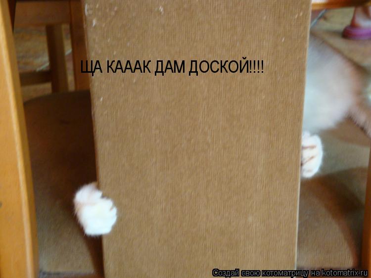 Котоматрица: ЩА КАААК ДАМ ДОСКОЙ!!!!