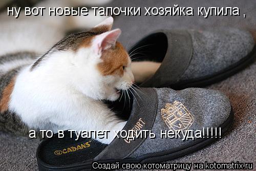 Котоматрица: ну вот новые тапочки хозяйка купила , а то в туалет ходить некуда!!!!!