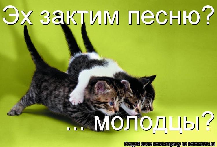 Эх зактим песню?... ... молодцы?... Котоматрица: Эх зактим песню?... ... молодцы?