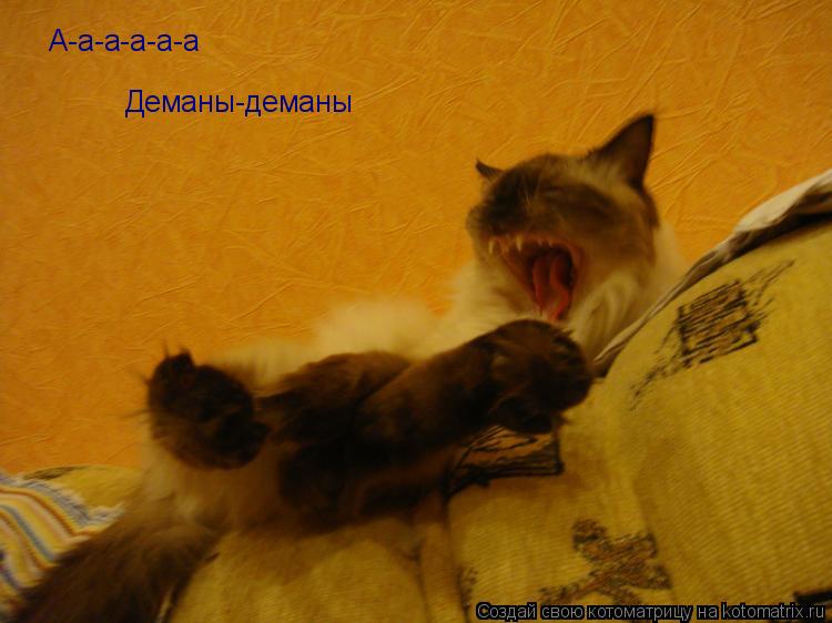 А-а-а-а-а-а Деманы-деманы... Котоматрица: А-а-а-а-а-а Деманы-деманы