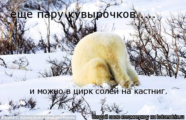 Котоматрица: еще пару кувырочков.....  и можно в цирк солей на кастниг.