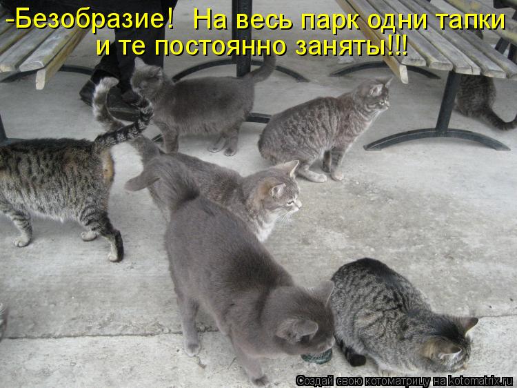 Котоматрица: -Безобразие!  На весь парк одни тапки и те постоянно заняты!!!