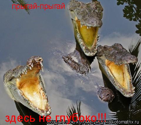 Котоматрица: прыгай-прыгай здесь не глубоко!!!