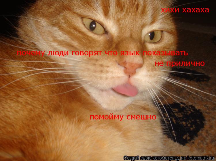 Котоматрица: хихи хахаха  почему люди говорят что язык показывать  не прилично помойму смешно
