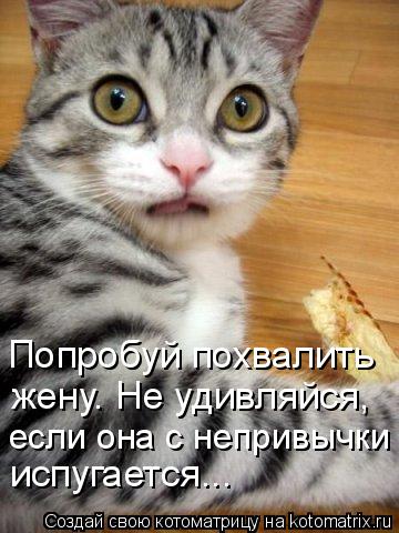 Котоматрица: Попробуй похвалить жену. Не удивляйся, если она с непривычки испугается...