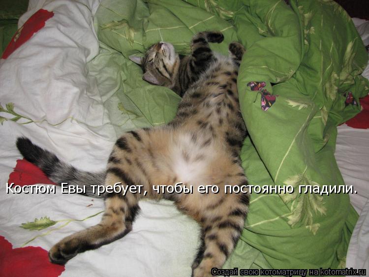 Котоматрица: Костюм Евы требует, чтобы его постоянно гладили.