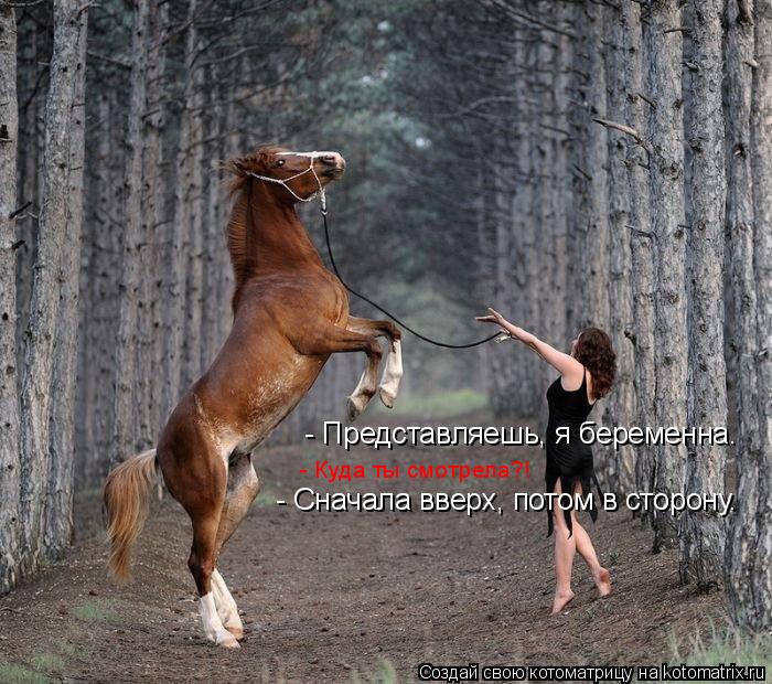 Котоматрица: - Представляешь, я беременна.  - Куда ты смотрела?!  - Сначала вверх, потом в сторону.