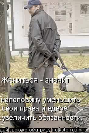 Котоматрица: Жениться - значит  наполовину уменьшить свои права и вдвое увеличить обязанности.